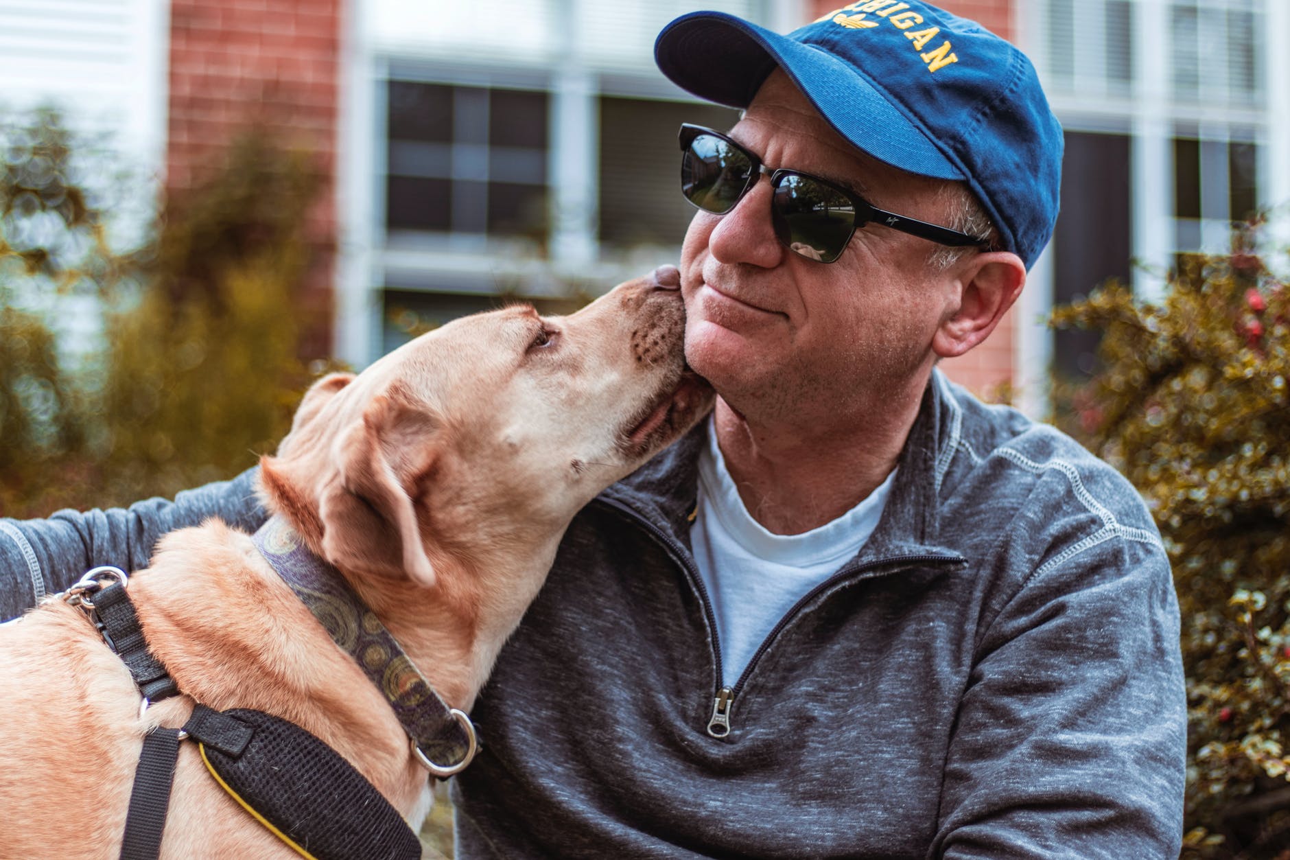 Why dogs dislike men 19 Why dogs dislike men