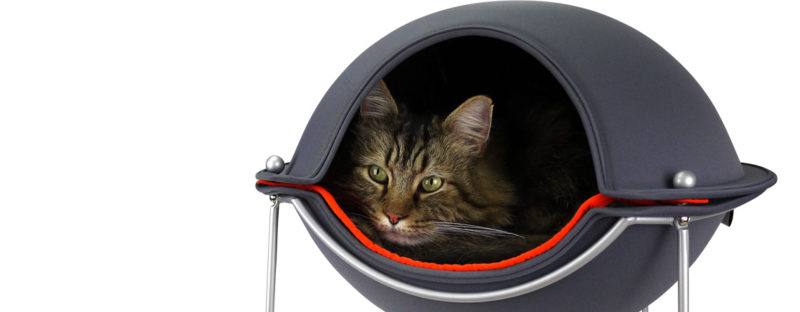 Pet product review: Hepper Pet Pod 1 Pet product review: Hepper Pet Pod