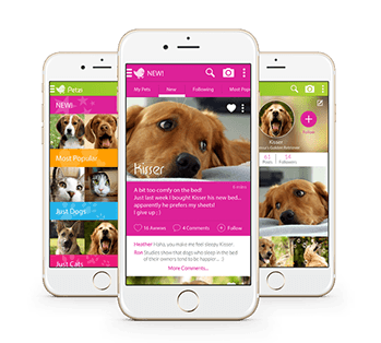 Pet product preview: Petziconnect 1 connect with your pet