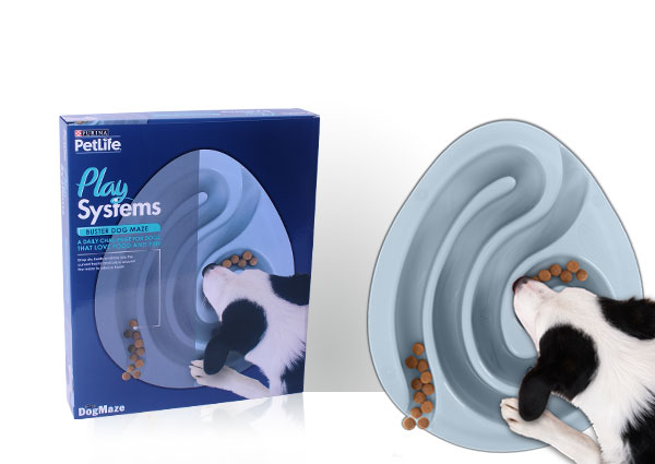 Pet product review: Buster Dog Maze 1 Pet product review: Buster Dog Maze
