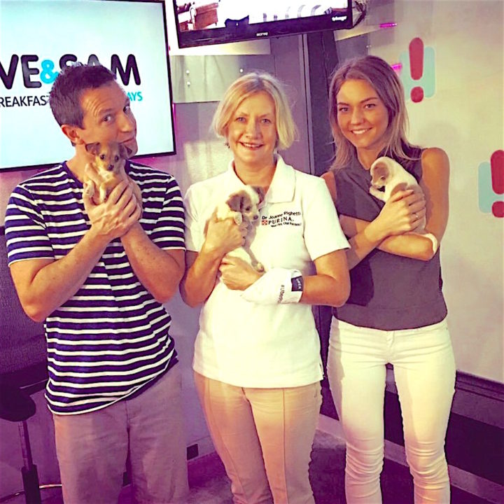 #UberPUPPIES 1 pet behaviour for companies