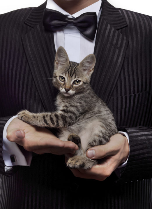 No more crazy cat ladies! Maybe there are crazy cat men? 1 Crazy Cat Man