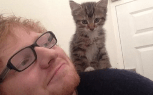 Man's Best Friend is His Cat! 1 Man's best friend is his cat