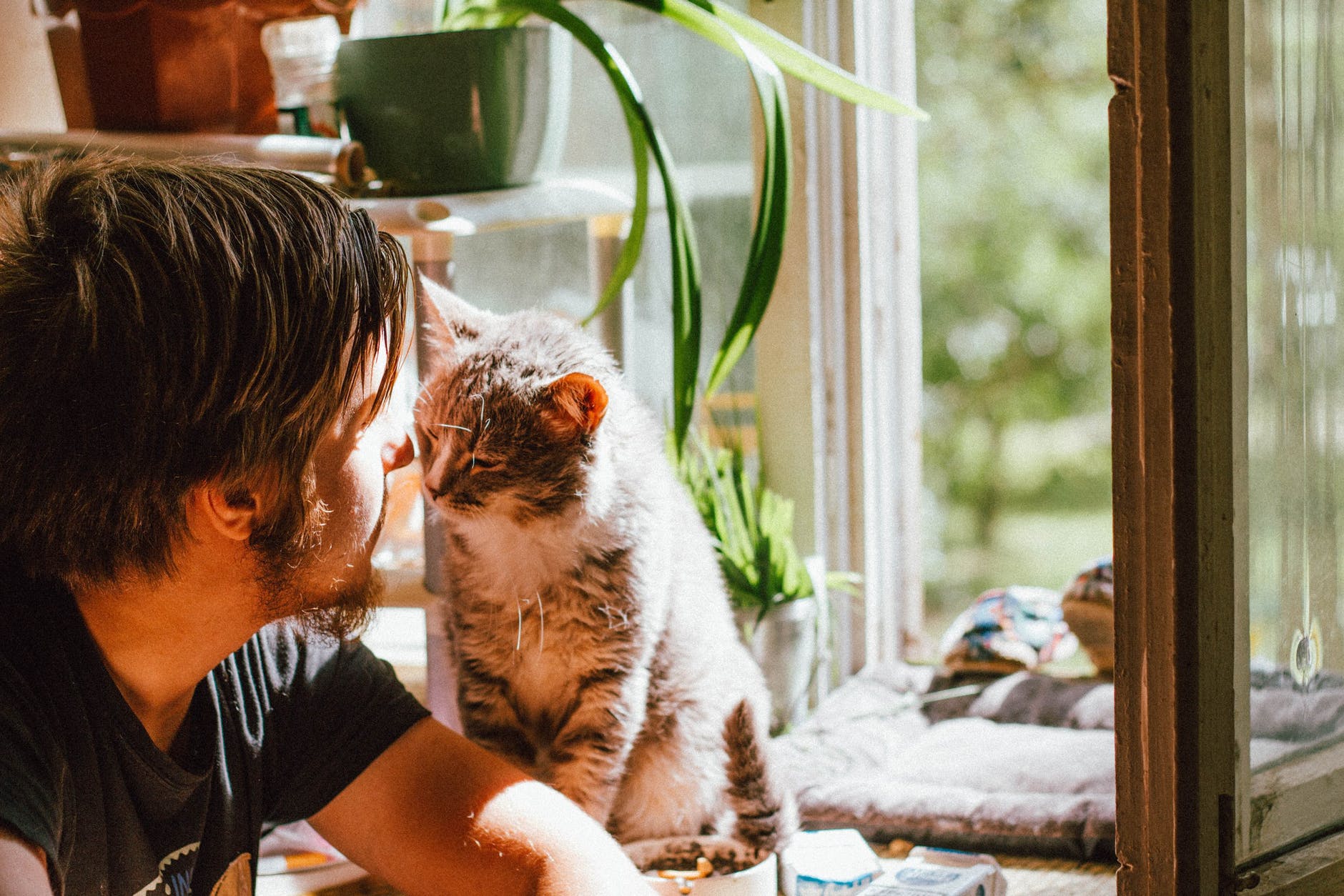 Man's Best Friend is His Cat! 11 Man's best friend is his cat