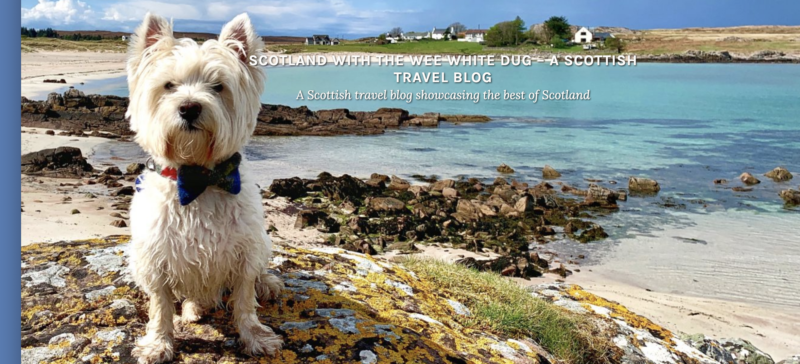 Scotland with the Wee White Dug 16 Scotland with the Wee White Dug
