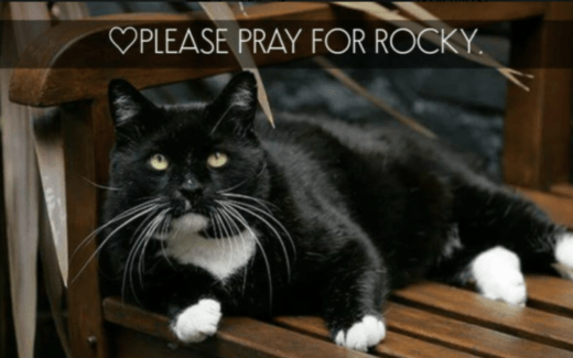 Magnificat Rocky and his journey with cancer 1 Mignificat Rocky
