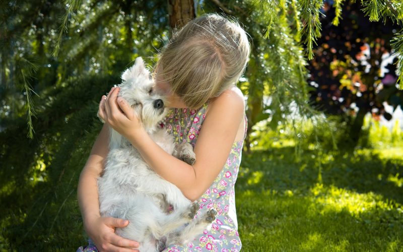 Socialisation of pets: Why your pet needs to be exposed to life at an early age 1 kids and pets