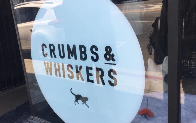 Crumbs & Whiskers: Visit to LA Cat Cafe 1 Crumbs & Whiskers cat cafe