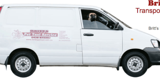 Pet business: Pet and Animal Taxi (Uber for pets?) 1 Pet business: Pet and Animal Taxi