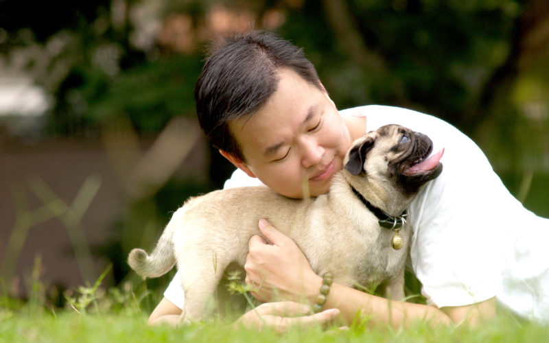 Pet mad Aussies admit to changing lifestyle to keep pets happy 1 ‘Pet mad’ Aussies admit to changing lifestyle to keep pets happy
