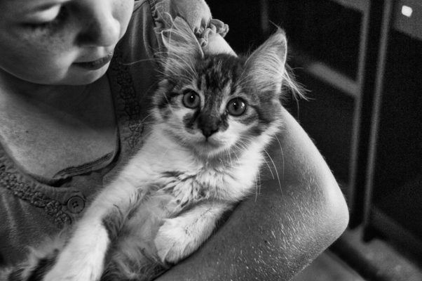 Top 10 Pets for kids: And the Benefits of Children Having Pets 1 Benefits of kids and pets