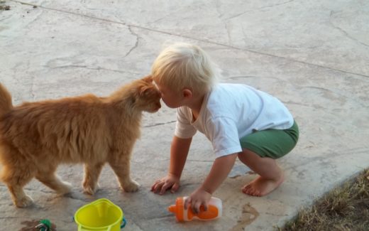 Kids and cats: Could cats cause mental health issues in children? 1 Could cats cause children's mental health issues?