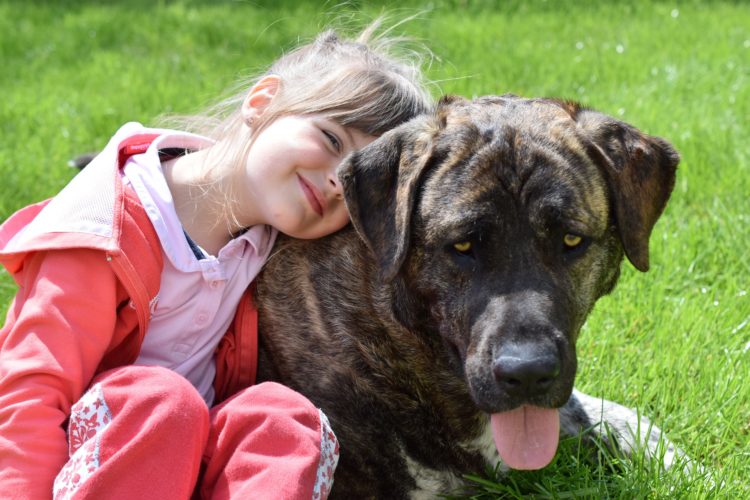 Psychiatric disorders and pets: Can Exposure to pets when young influence schizophrenia and bipolar diagnosis? 1 Psychiatric disorders and pets: schizophrenia and bipolar disorder