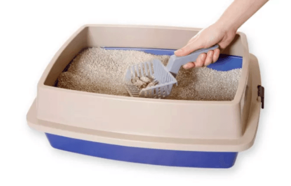 Cats use of litter box is determined by sight, not scent 8 Cats use of litter box determined by sight, not scent