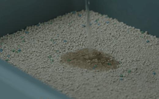 Cats use of litter box is determined by sight, not scent 9 What are cats’ preferred Cat Litter types?