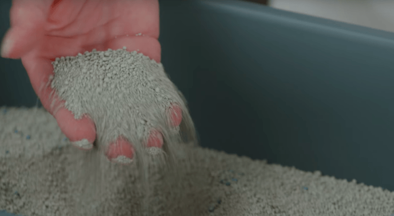 Cats and litter: 7 Cat Litter Box Rules 1 cat litter box rules and cats’ preferred cat litter types