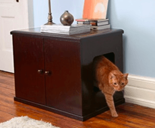 Cleaning Up Pet Toileting Accidents 22 cats and litter