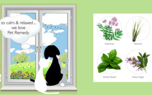 Pet Remedy: When you need to calm your pets 1 Pet Remedy for calm pets
