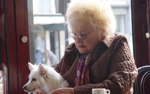 Seniors and pets: Growing old with pets 1 Own a Small Dog