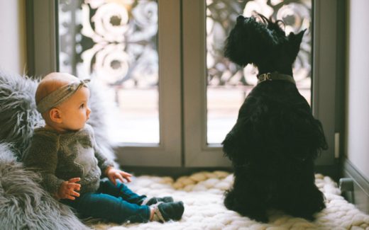 Bringing home baby: Helping your pets cope with your new human 1 Bringing home baby: Helping your pets cope