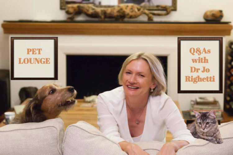 Pet Problems Solved Podcast and Video Series. Your pet behaviour questions answered 1 Your pet behaviour questions answered in the Pet Problems Solved podcast and video series