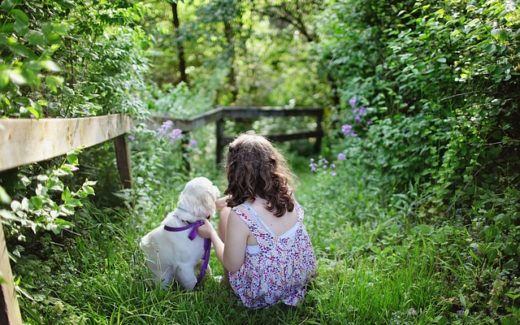 10 Tips to improve the human-animal bond 1 kids want a pet