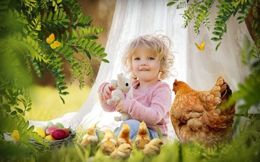 Pet loss - a guide for parents to Help Understand and Explain to Children 1 family needs a pet