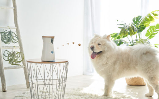 Talk to your pets when they're home alone! (Furbo-style) 8 Furbo: Communication between you and your pets