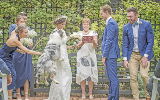 Pets Now Becoming Most Important Wedding Guest 1 Pets Now Becoming Most Important Wedding Guest