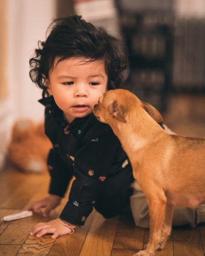 MRI SCANS REVEAL What your dog really thinks about you! 24 MRI scans reveal what your dog really thinks about you!