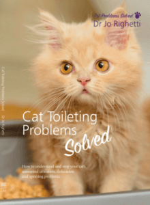 Cat Socks... And Dogs Stealing socks. We All Love Socks! 9 Ebook