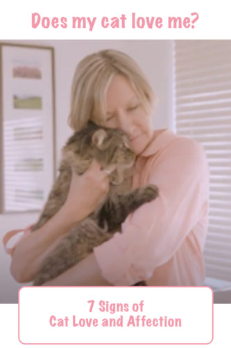 Does my cat love me? 7 Signs of cat love and affection 7 Does my cat love me?