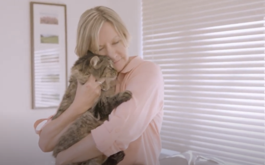 Does my cat love me? 7 Signs of cat love and affection 1 Does my cat love me?