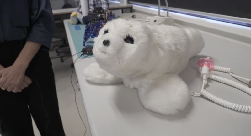 Robo-pets: a new breed of fur baby? 10 Robo-pets: a new breed of fur baby?
