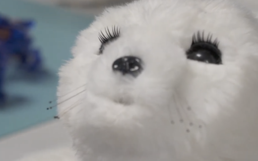 Robo-pets: a new breed of fur baby? 1 Robo-pets: a new breed of fur baby?