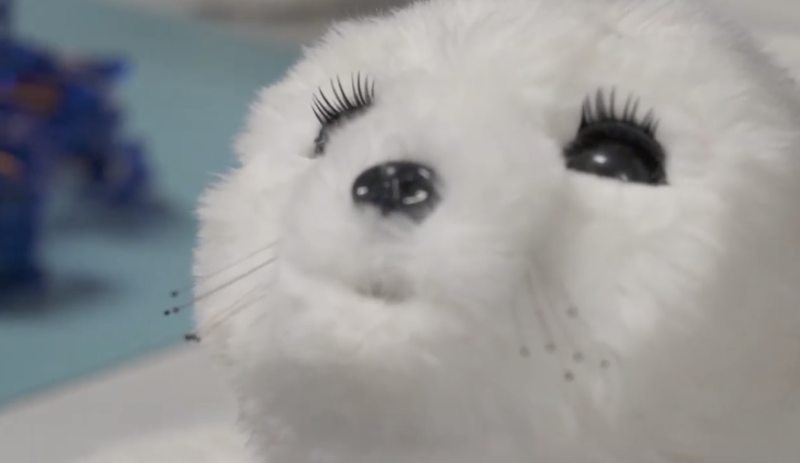 Robo-pets: a new breed of fur baby? 11 Robo-pets: a new breed of fur baby?