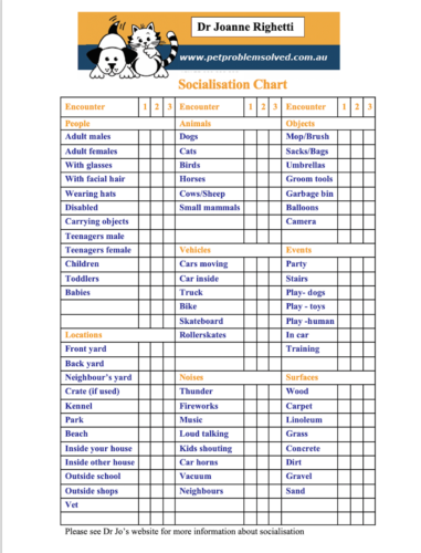 Puppy socialisation chart
