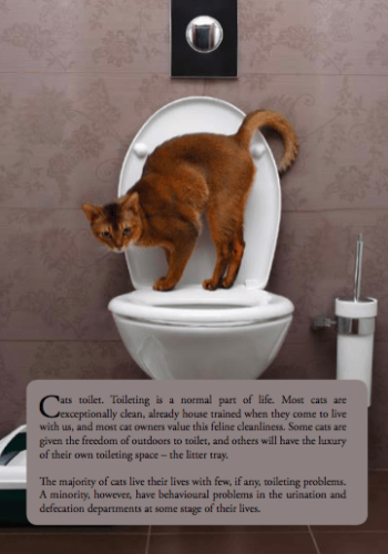 Cat Toileting Book 3 Cat toileting book