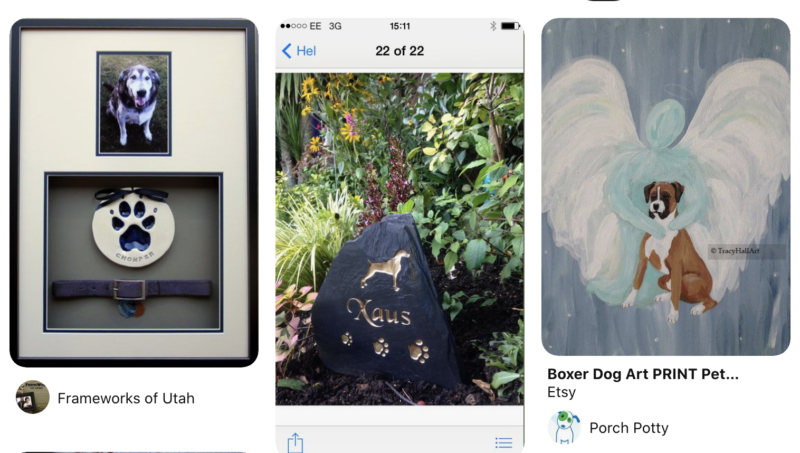 Losing an animal friend: Coping with pet loss grief 3 Screen Shot 2020 06 24 at 13.13.11