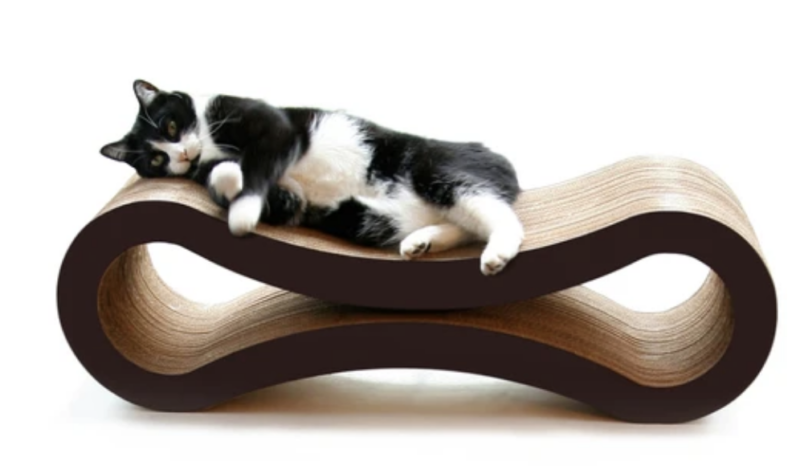 Cat Scratching Behaviour: How to stop your cat scratching! 5 cat scratching behaviour problems