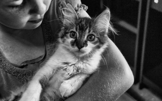 Parents' beliefs on kids ages and safety with family pets