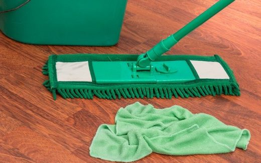 Cleaning Up Pet Toileting Accidents 1 Cleaning up toileting accidents
