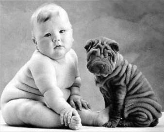 KIDS AGES AND SAFETY WITH FAMILY PETS: Is it safe for Kids to have a pet at any Age? 15 fat baby dog